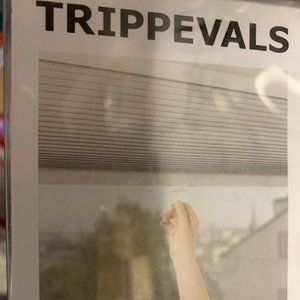 NEW IKEA Cellular Blinds 30 x 76 3/4 inches